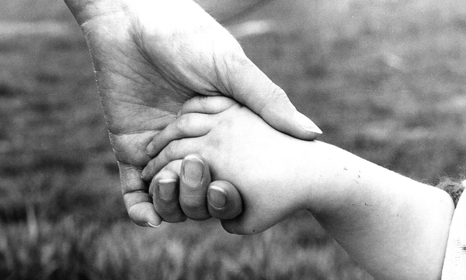 Istruzione Bambini